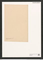 Campylodiscus tabulatus A. Schum. (de-Toni-Nr.: Genus 57, Species 2466) Zeichnungen Sammlung Grunow (NHMW-BOT-W0373189)